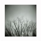 dailyPhoto29
